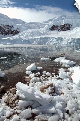 Neko Harbor, Antarctica, Polar Regions