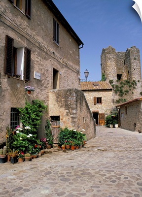 Old house with pots of flowers in the Largo di Fontebranda, Siena, Tuscany, Italy