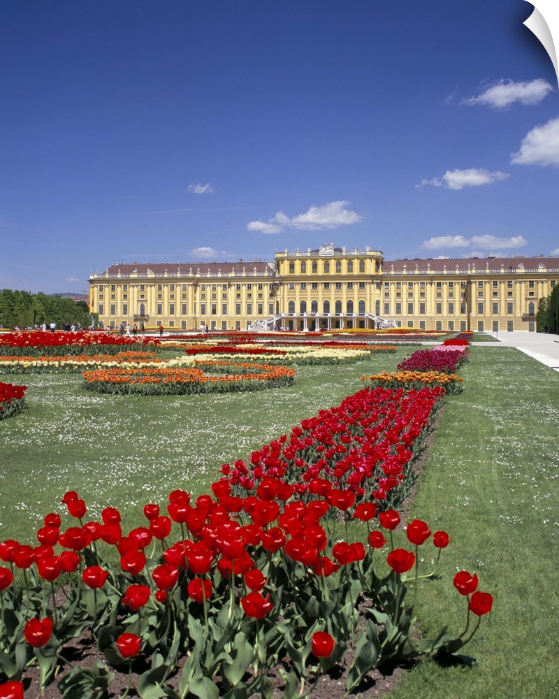 Palace and gardens, Schonbrunn, Vienna, Austria