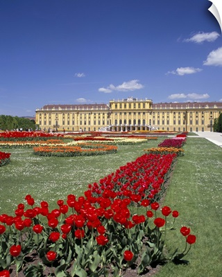 Palace and gardens, Schonbrunn, Vienna, Austria