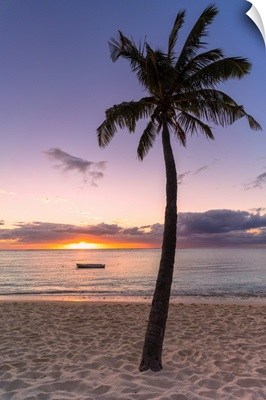 Palm Tree On Tropical Beach, Sunset, Le Morne Brabant, Mauritius, Indian Ocean, Africa