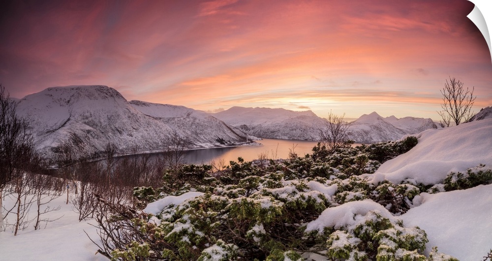 Panorama of frozen sea surrounded by snow framed by the orange sky at sunset, Torsken, Senja, Troms County, Arctic, Norway...