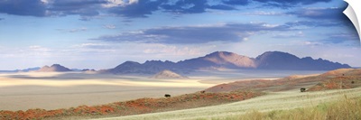 Panoramic view over the landscape of the Namib Rand game reserve, Namibia, Africa