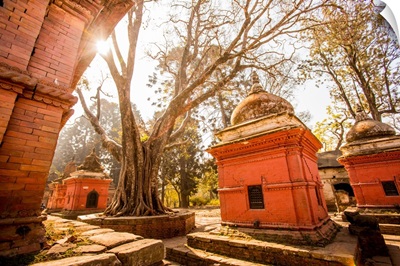 Pashupati Temple tombs, Kathmandu, Nepal
