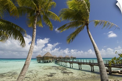 Pearl Beach Resort, Tikehau, Tuamotu Archipelago, French Polynesia