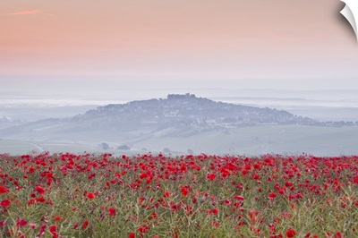 Poppies above the village of Sancerre in the Loire Valley, Cher, Centre, France