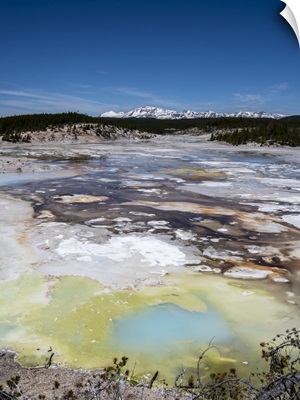 Porcelain Springs In The Norris Geyser Basin, Yellowstone National Park, Wyoming
