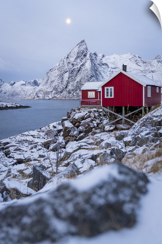 Red fishermen's cabins covered with snow at dusk, Hamnoy, Nordland county, Lofoten Islands, Norway, Scandinavia, Europe