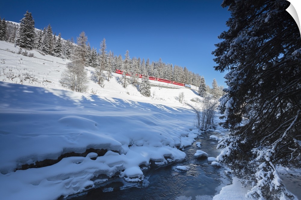 Rhaetian Railway on the Chapella Viadukt surrounded by snowy woods, Canton of Graubunde, Engadine, Swiss Alps, Switzerland...