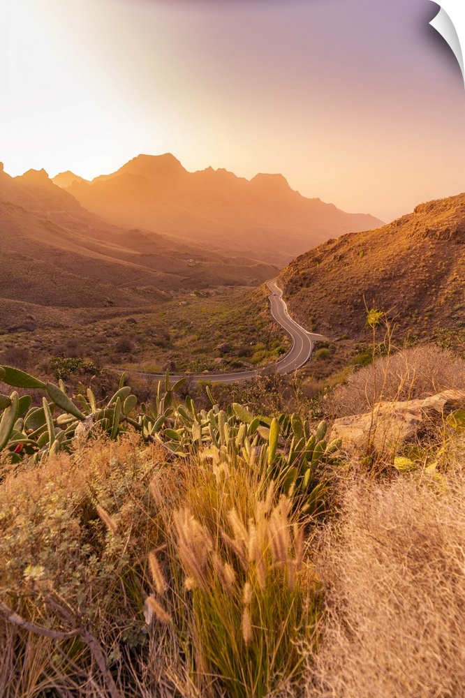 View of road and flora in mountainous landscape during golden hour near Tasarte, Gran Canaria, Canary Islands, Spain, Atla...