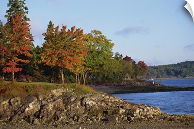 Rocky shoreline and trees in fall, Bar Harbour, Maine, New England, USA