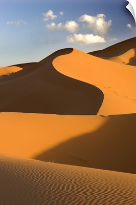 Rolling orange sand dunes and sand ripples, Erg Chebbi sand sea, Morocco