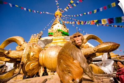Sacred Monkey Temple, Kathmandu, Nepal