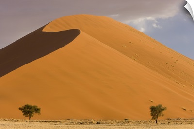 Sand dunes, Sossusvlei, Namib Naukluft Park, Namib Desert, Namibia, Africa