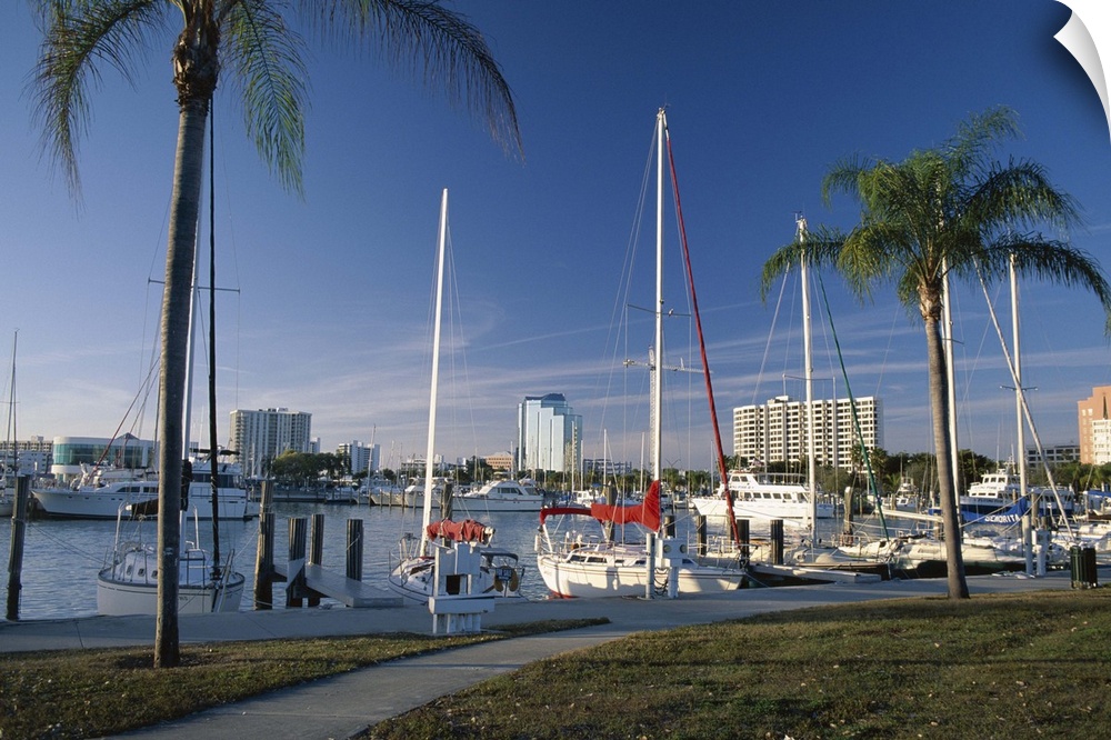 Sarasota Marina from Island Park, Sarasota, Florida, USA