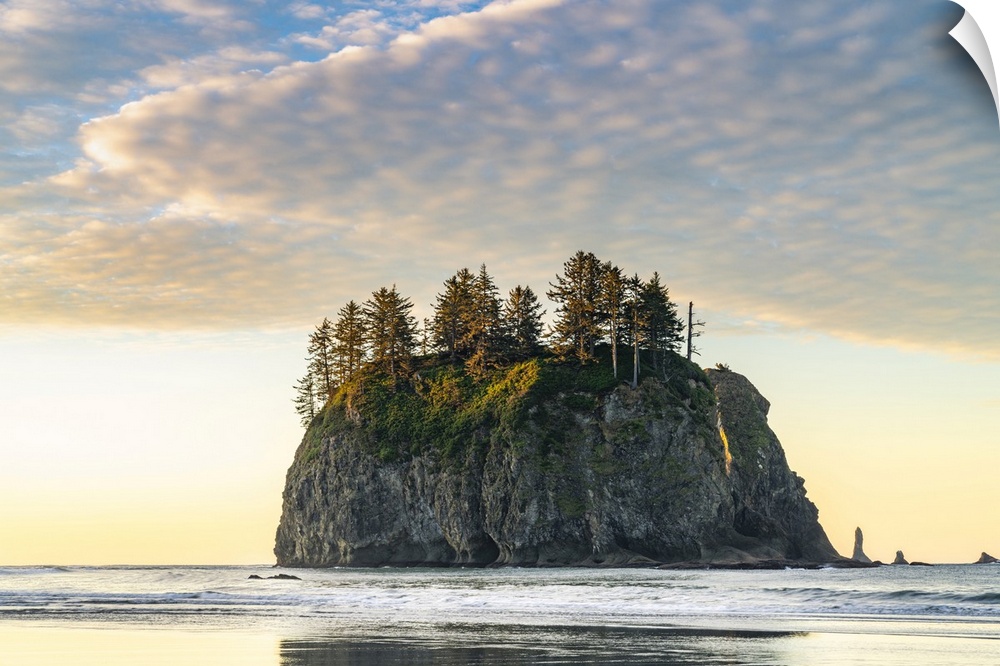 Sea stack at dawn at Second Beach, La Push, Clallam county, Washington State, United States of America, North America