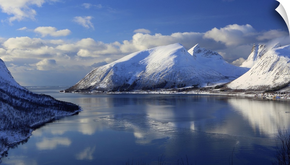 Senja island, Troms og Finnmark, north west Norway, Scandinavia, Europe