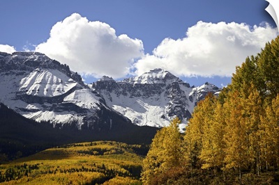 Sneffels Range with fall colors, near Ouray, Colorado