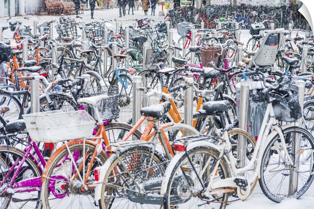 Snow covered bicycles, Copenhagen, Denmark, Scandinavia, Europe