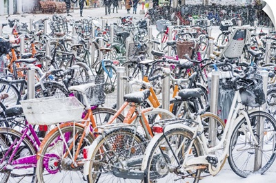 Snow Covered Bicycles, Copenhagen
