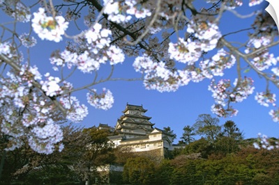 Spring blossom and Himeji Castle Himeji, west Honshu, Japan, Asia