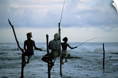 Stilt fishermen, Sri Lanka