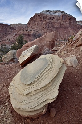 Tan sandstone boulder among red rocks, Carson National Forest, New Mexico