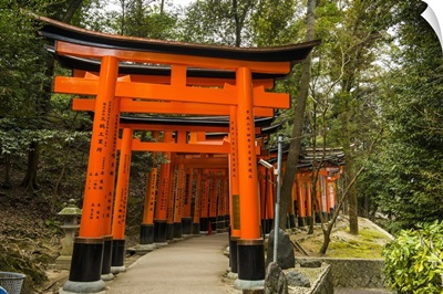 The Endless Red Gates of Kyoto's Fushimi Inari Shrine, Kyoto, Japan