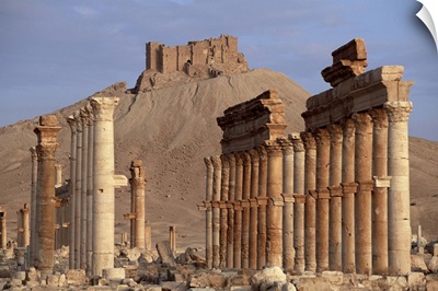 The Great Colonnade, with Arab castle on hill in background, Palmyra, Syria