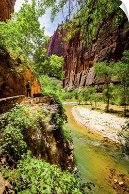 The Narrows Canyon Trail, Zion National Park, Utah, United States Of America