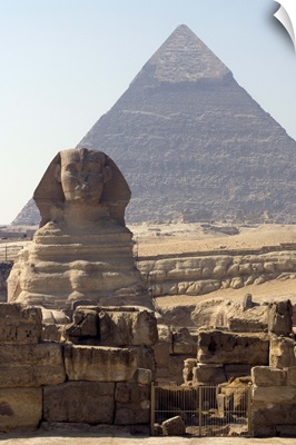 The Sphinx at the Pyramids, Giza, near Cairo, Egypt