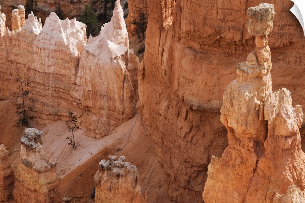 Thor's Hammer, Bryce Canyon National Park, Utah, United States of America, North America