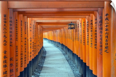 Torii Gate At Fushimi Inari Jinja, Shinto Shrine, Kyoto, Honshu, Japan