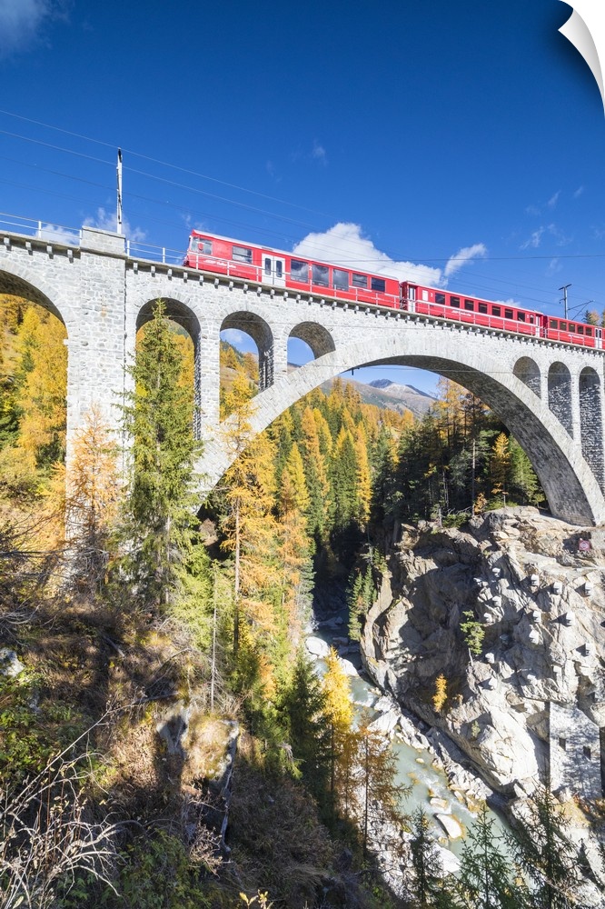 The red train on viaduct surrounded by colorful woods, Cinuos-Chel, Canton of Graubunden, Engadine, Switzerland