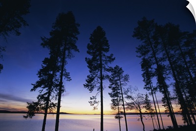 Trees and lake at sunset, Laponia, Lappland, Sweden, Scandinavia