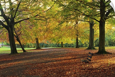 Trees in autumn colours and park, Clifton, Bristol, England
