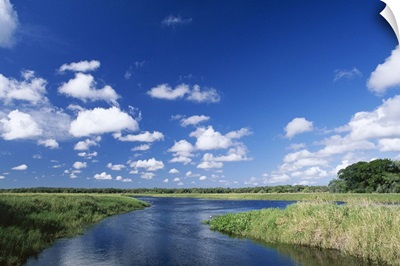 View from riverbank of white clouds and blue sky, Myakka River State Park, Florida, USA