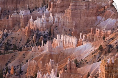 View from Sunrise Point at sunrise, Bryce Canyon National Park, Utah