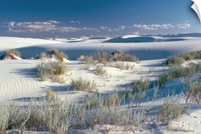 White Sands Desert, New Mexico, United States of America, North America