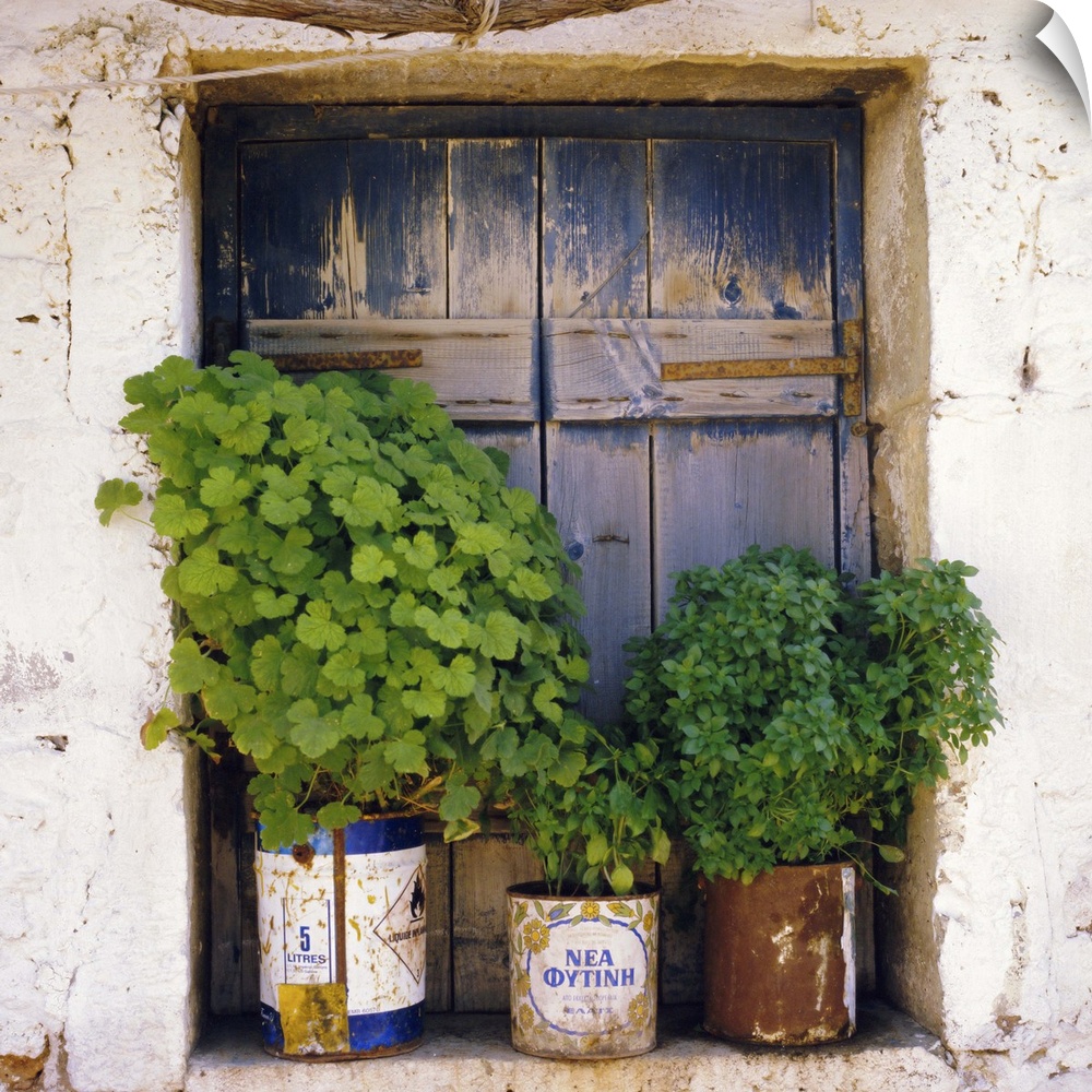 Windowsill, Paleohora, Crete, Greece, Europe