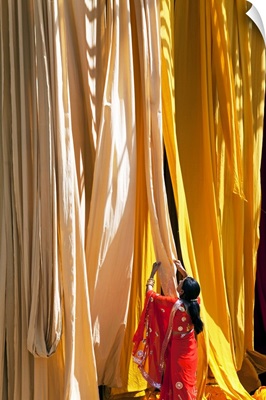 Woman In Sari Checking The Quality Of Freshly Dyed Fabric, Rajasthan, India