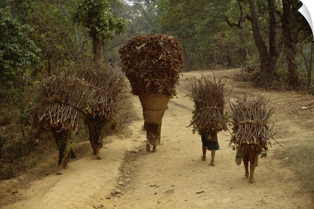 Women and children walking on a country road, carrying bundles of firewood, Chautara, north of Kathmandu, Nepal