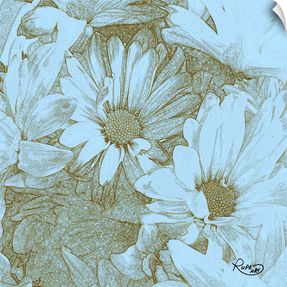 Square sketch of daises close-up in light blue and gold.