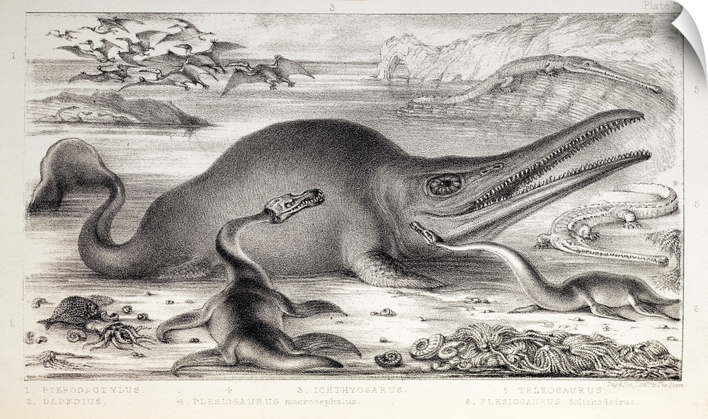1858 Marine Monsters by Benjamin Waterhouse Hawkins. Plate 23, to face page 33, of the New Edition, postumously published,...