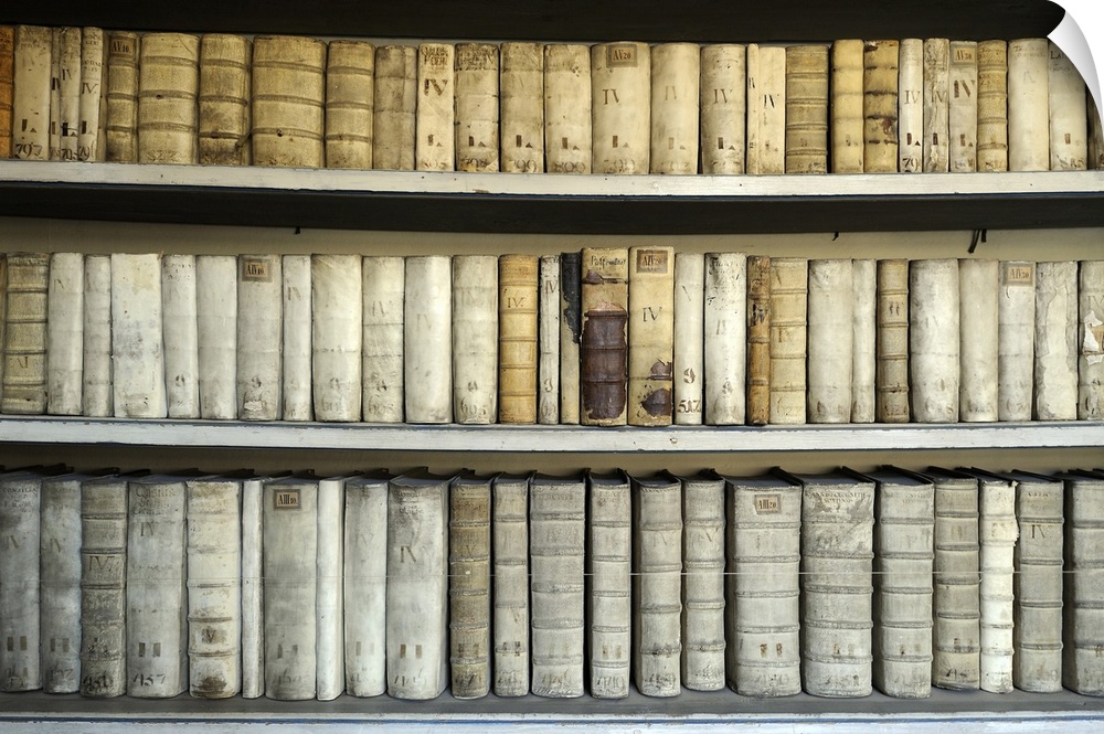 Antique books on shelves. Photographed in the library of the Strahov Monastery, Hradcany, Prague, Czech Republic.