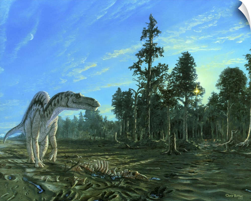Maiasaura dinosaur. Artwork of a Maiasaura dinosaur, a type of herbivorous duck-billed dinosaur (hadrosaur). It is standin...