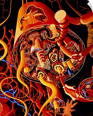Artwork of structures within a human nerve