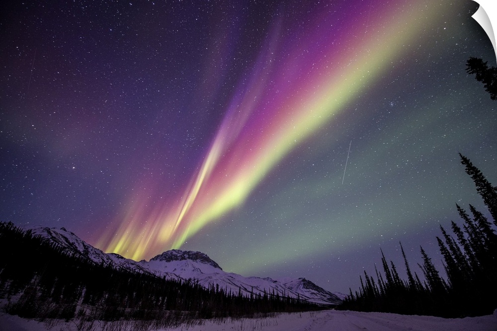 Aurora borealis over the Brooks Range and spruce trees in Northern Alaska. The aurora borealis (northern lights) is an atm...