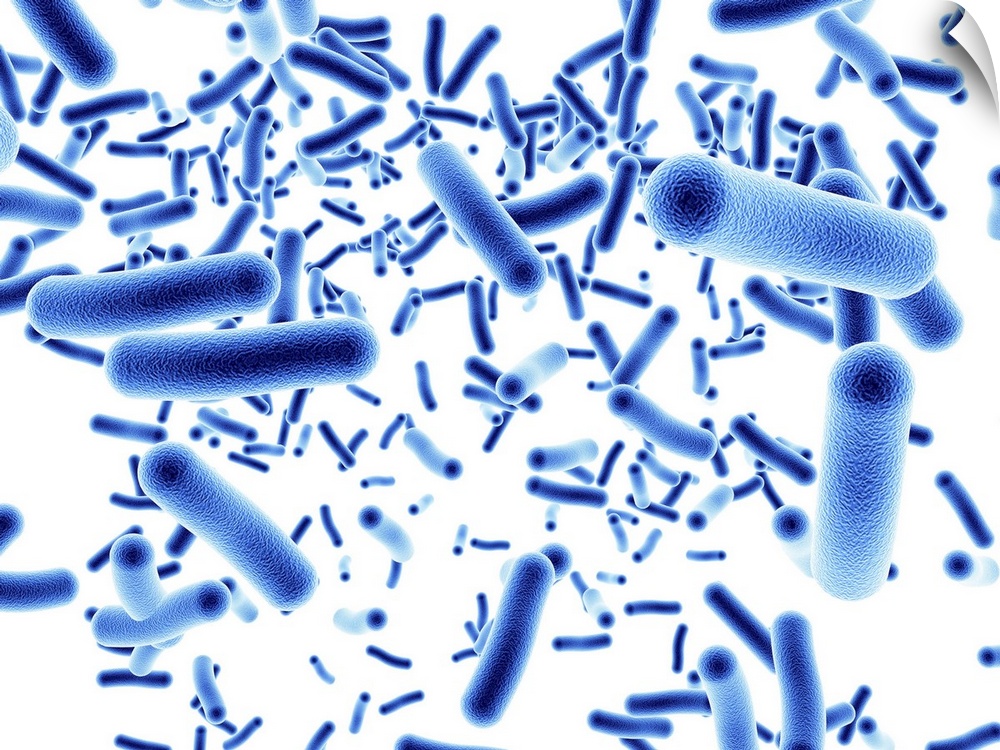 Computer artwork depicting a cluster of bacteria.