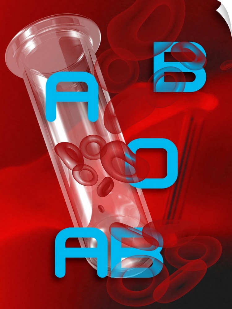 Blood types, conceptual image. Computer artwork of a test tube containing red blood cells, with the letters A, B, AB and O...